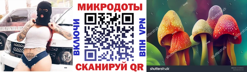 blacksprut   Кологрив  Псилоцибиновые грибы Cubensis 