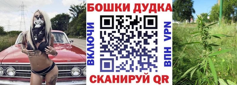 Канабис конопля  где купить наркоту  мега   Кологрив 
